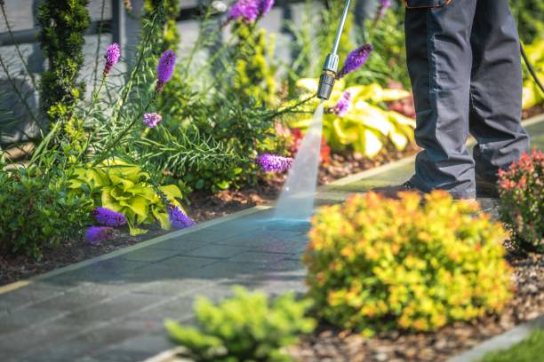 Best Warehouse Cleaning  in Bargaintown, NJ